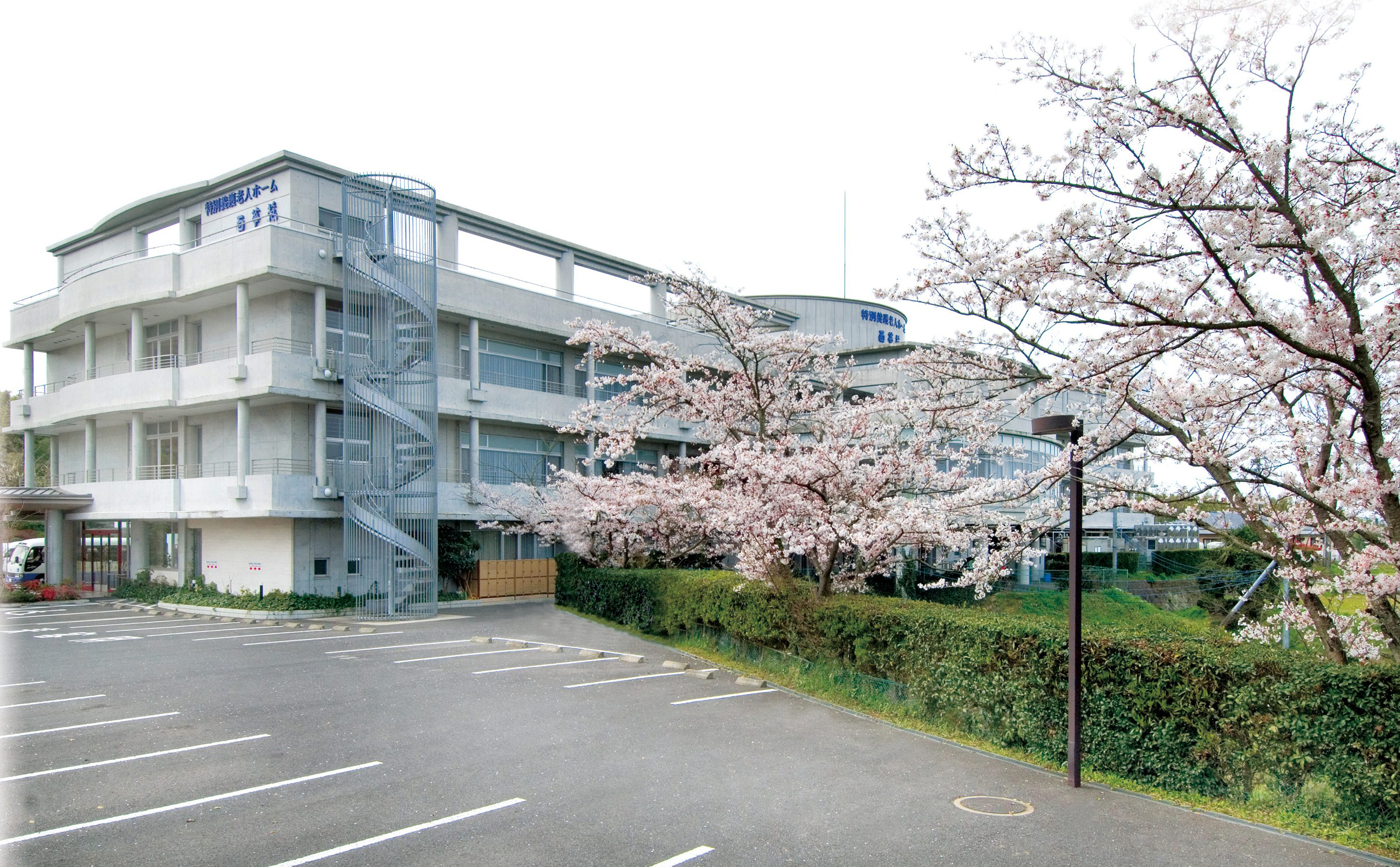 スライド1